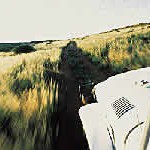 Daytime Dune game drive with Tracking walks