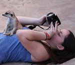 Meerkat Manor in the Kalahari Part 2 - 4