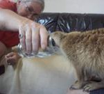 Meerkat Manor in the Kalahari Part 2 - 55