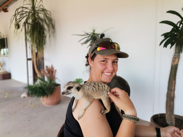 Mareli from Kalahari Trials Meerkat Sanctuary